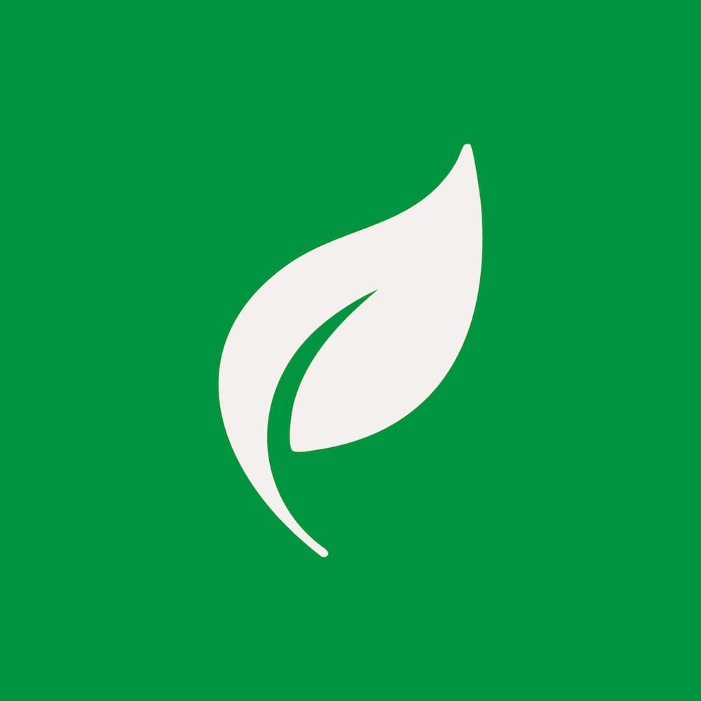EcoChallenge Logo